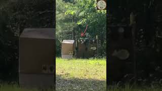 177 Winchester 1000s Break Barrel targetshooting pelletgun viral videooftheday cool daisy ok [upl. by Shaffert]