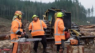 Tokelauan logger hopes to lure more Pasifika into forestry [upl. by Eilerua]