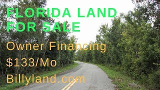 Central Florida Land for Sale 03 Acres Cheap Land Owner Financed Land  133Mo  Billylandcom [upl. by Elehcar517]