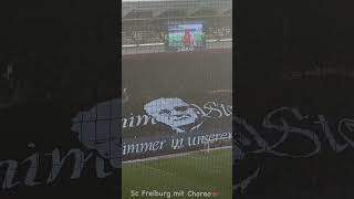 Freiburg mit Choreo gegen Mainz [upl. by Aicirtel]