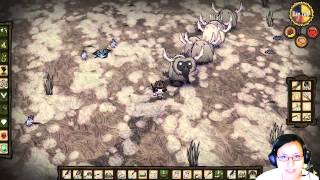 How to Safely Kill a Beefalo  Dont Starve [upl. by Adiazteb683]