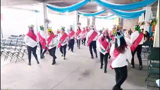 Danza Xochitines en fiesta de San Martín noviembre 2024 [upl. by Inatsed636]