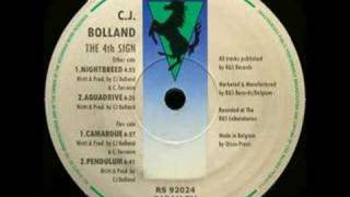 CJ Bolland  Camargue 1992 [upl. by Orella274]