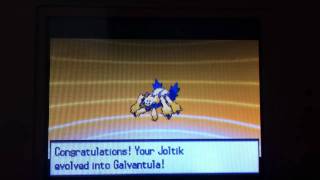 My Shiny Joltik evolve to Galvantula [upl. by Ydnam846]