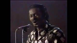 Solid Gold Season 1  1980 Chuck Berry  quotJohnnie B Goodequot 1980 [upl. by Khajeh897]