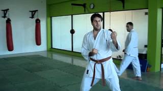 Silvio Menezes aula Karate Shotokan Geri Waza [upl. by Ylrak]