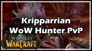 World of Warcraft Kripparrian  WoW Hunter PvP  WotLK [upl. by Alyce418]