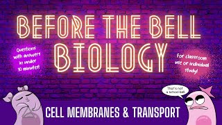 Cell Membranes and Transport Before the Bell Biology [upl. by Noramac690]