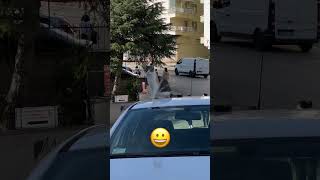 Sen buralara nerden girdin😀 kedi kedisesi keşfet [upl. by Emmett]