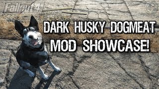 Fallout 4  Dark Husky Dogmeat Mod Showcase XB1 [upl. by Marvel]