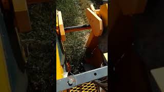 Arbequina olive harvest in Turkey [upl. by Argile222]