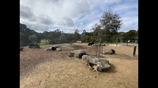 Parkwood Fenced Dog Park Ringwood North [upl. by Curkell696]