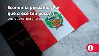 Economía peruana ¿Por qué crece tan poco [upl. by Nolyk331]