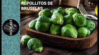 MITOS Y VERDADES SOBRE LOS REPOLLITOS DE BRUSELAS [upl. by Bryn]