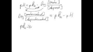 When is the side chain of an amino acid protonated [upl. by Oderfodog668]