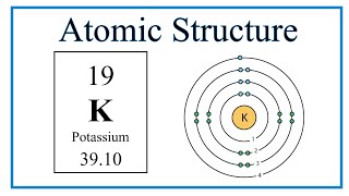 Atomic Structure Bohr Model for Potassium K [upl. by Herculie]