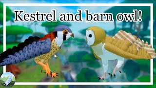 Kestrel and Barn owl  Roblox Feather Family [upl. by Rome]