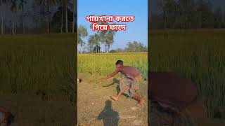 In danger while defecating in others paddy field😁 subscribe funny shortvideos comedy bangla [upl. by Eira]