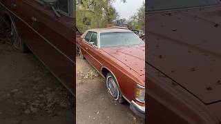 Survivor Barn Find 1973 Ford LTD barnfind ford survivor classiccars [upl. by Elspeth81]