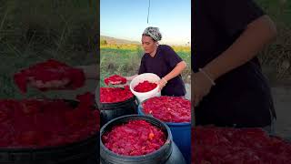 Tomatoes Ketchup Making Complete process 😋village yt cooking viralvideo ytshorts shorts [upl. by Ahsiyk]