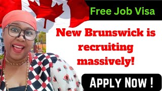 New Brunswick is recruiting massively l Free Job Visa [upl. by Dacie28]