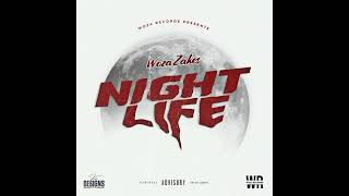 Woza Zakes  Night Life [upl. by Raseta]