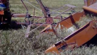 Allis Chalmers 40 combine at Hutchinson [upl. by Delaney]