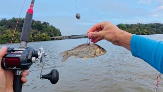 4 Hours of RAW and UNCUT Live Baiting Catfish in a Flooded River  Kayak Catfishing [upl. by Schroer]