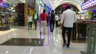 Mobilenet SSD Pedestrian Detection and Tracking [upl. by Yran]