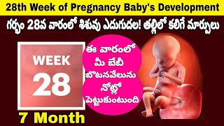 28th Week of Pregnancy Symptoms Changes amp Baby Development  28th Week of Pregnancy in telugu [upl. by Sitruk]