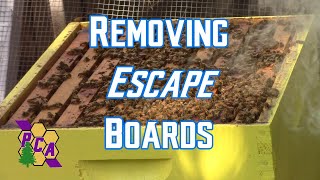 Removing Escape Boards [upl. by Kala809]