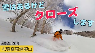 志賀高原 焼額山スキー場◆３月もばっちり営業できます！【 Slope Report at Shigakogen Yakebitai ski resort】 [upl. by Rodnas]