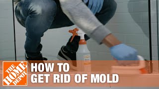 How to Get Rid of Mold  The Home Depot [upl. by Adnawuj]