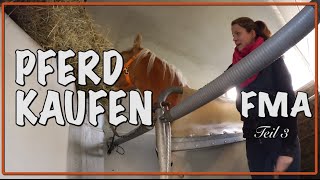 PFERD KAUFEN Teil 3 ✮✮✮✮✮ Grusel Roadtrip [upl. by Motch432]