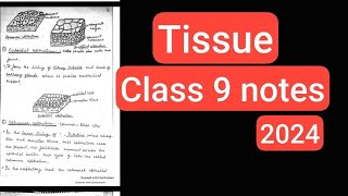 TISSUE CLASS 9 NOTES 2024 CLASS 9 NOTES CHAPTER 3 TISSUE BIOLOGY NOTES OF TISSUE CLASS 9 [upl. by Rellia885]