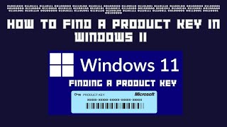 How to Find a Product Key in Windows 11 [upl. by Caniff]