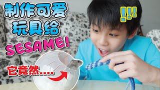 挑战 制作可爱玩具给Sesame他的反应竟然是Created a cute Toy for Sesame and his reaction wasENG SUB [upl. by Eichman]