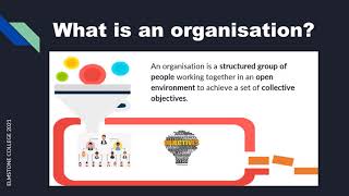 What is an organisation [upl. by Flieger]