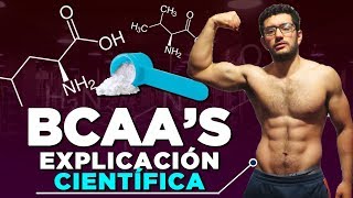 AMINOACIDOS BCAAs  ¿NECESARIOS o PERDIDA DE DINERO Explicación Científica [upl. by Florencia654]