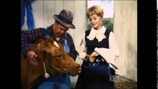 Petticoat Junction  The Lady Doctor  S6 E7  Part 3 [upl. by Aihsyt803]