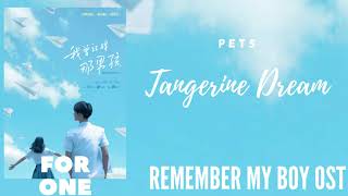 Pets – Tangerine Dream Remember My Boy OST [upl. by Ahsirtal891]