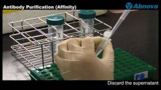 Antibody Purification Affinity [upl. by Erna623]