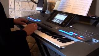 zijn zotten die werken  Juul Kabas on Yamaha keyboard Tyros5 [upl. by Secnarfyram]