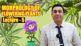 Morphology of Flowering Plants l lecture 5 l Biology l NEET [upl. by Anifares969]