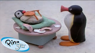 Pinga is Born 🐧  Pingu  Official Channel  Cartoons For Kids [upl. by Ahseyd]