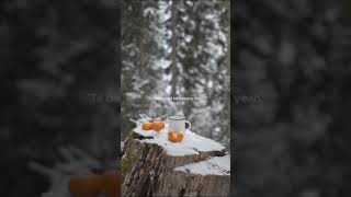 Snowman  Sia lyrics  aesthetic  WhatsApp Status lyrics aesthetic music sia snowmanlyrics [upl. by Afesoj]