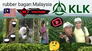 🇲🇾 How much is the salary for rubber fertilizer work💸💸💸 [upl. by Dnalkrik20]