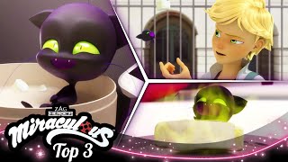 MIRACULOUS  🐞 PLAGG 🔝  SEASON 1  Tales of Ladybug and Cat Noir [upl. by Behnken]