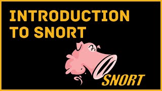 Introduction To Snort IDS [upl. by Edora]