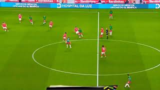 Florentino Luís  Benifica vs Marítimo [upl. by Araik]